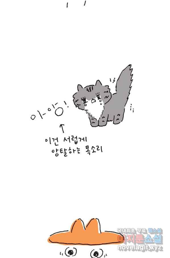 은동은동+옹동스 은동은동 옹동구리 19화. 뭐 좀 물어봅시다 5
