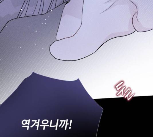 그 기사가 레이디로 사는 법 58화 125