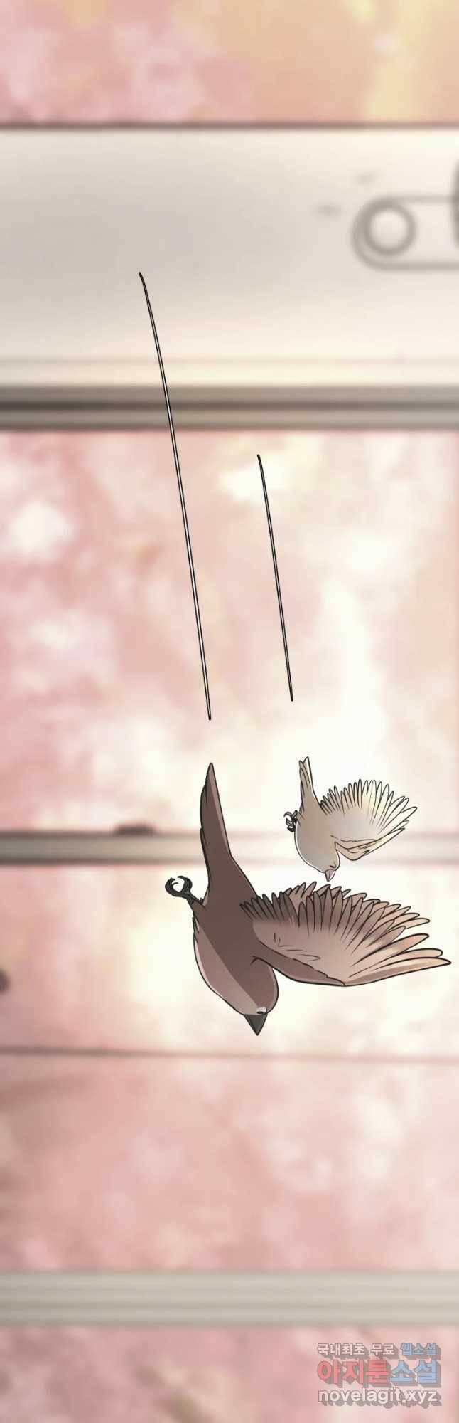 그녀의 앵무새 92화 새 삶(2) 5