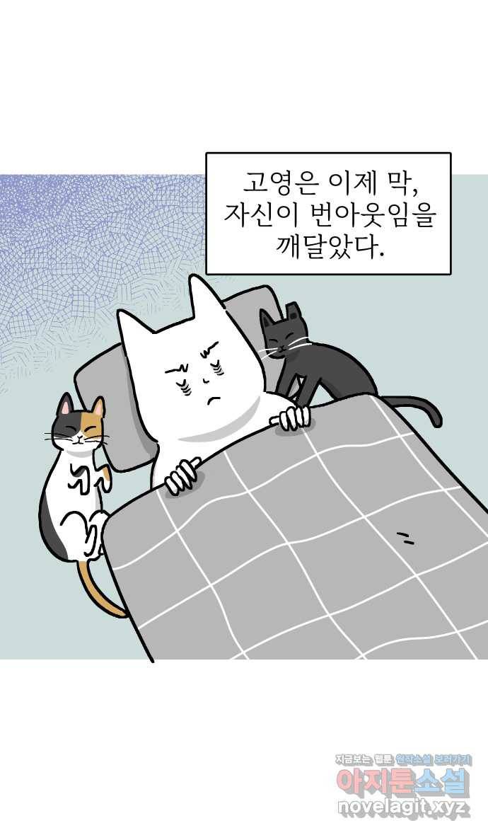 애옹식당 18화 시작! 번아웃 극복 프로젝트 3