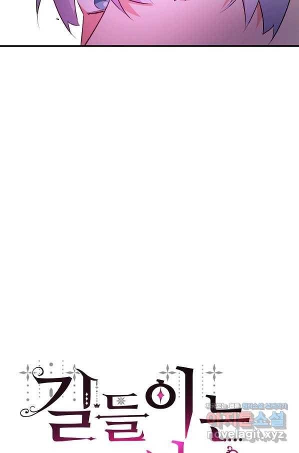 길들이는 공녀님 70화 10