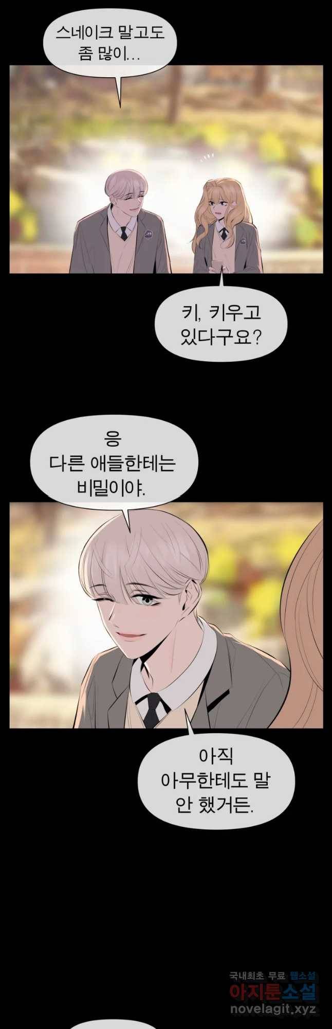 케어시트 31화 수집 13