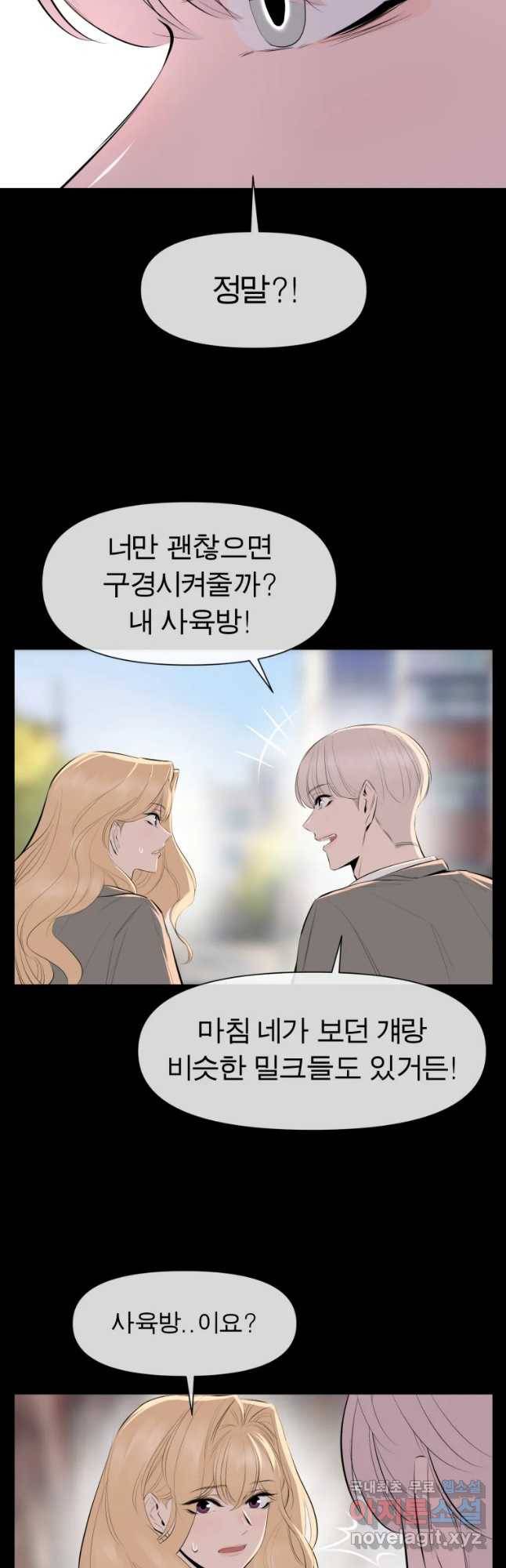 케어시트 31화 수집 16