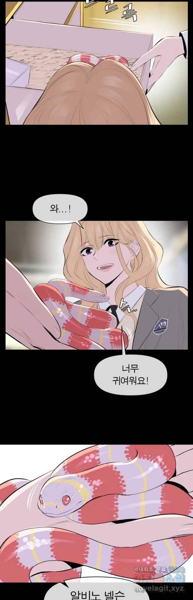 케어시트 31화 수집 19