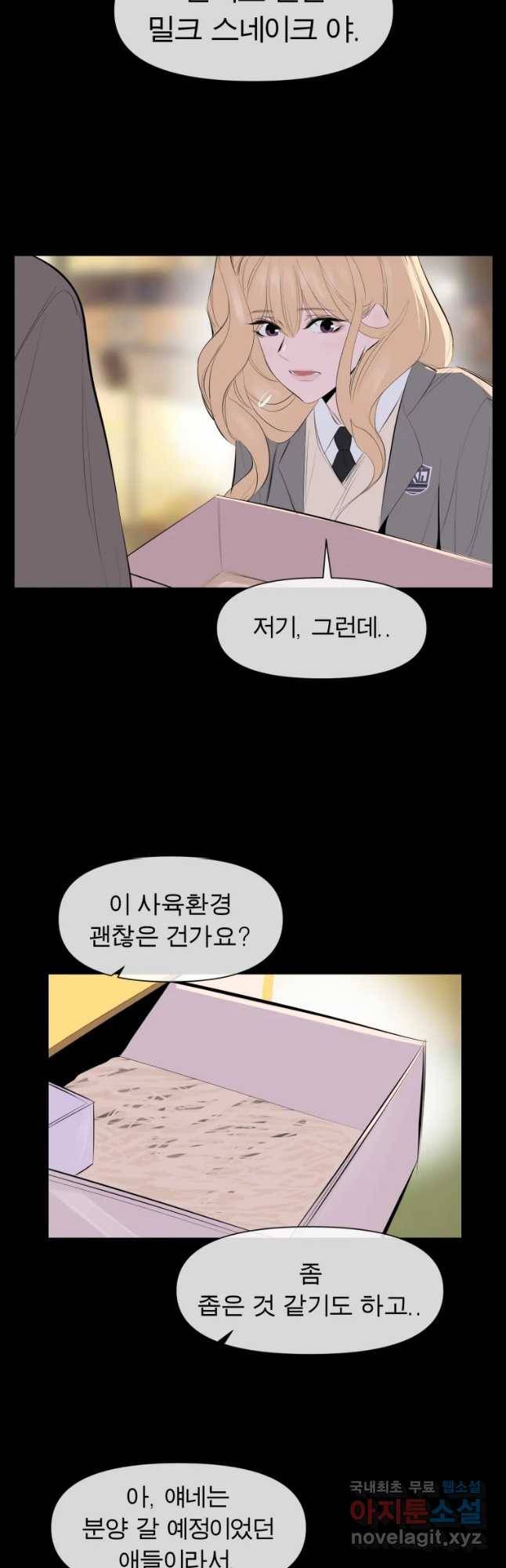 케어시트 31화 수집 20