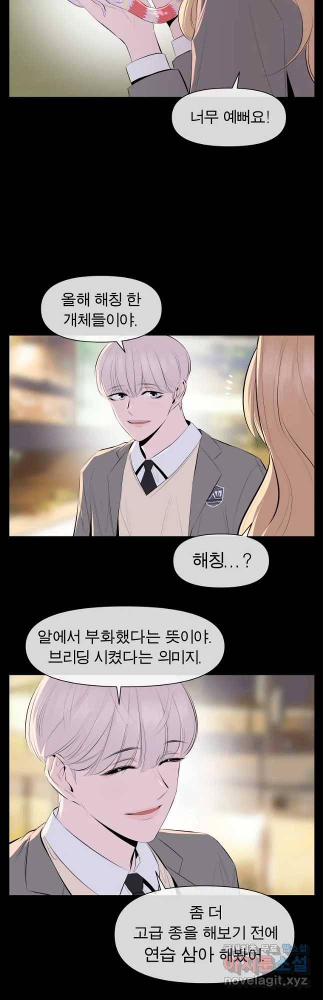 케어시트 31화 수집 23