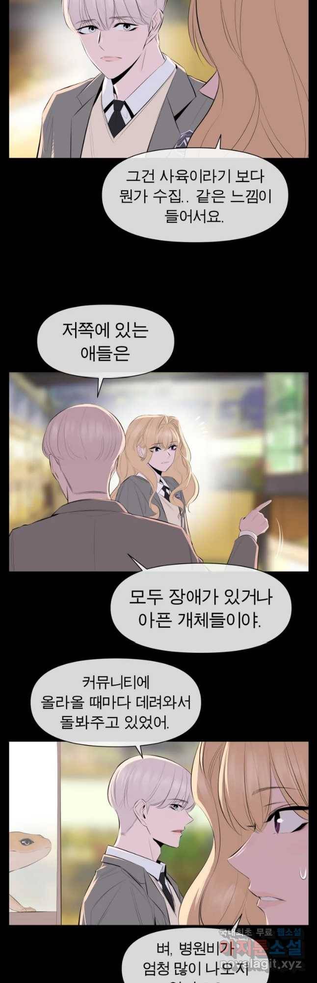 케어시트 31화 수집 31