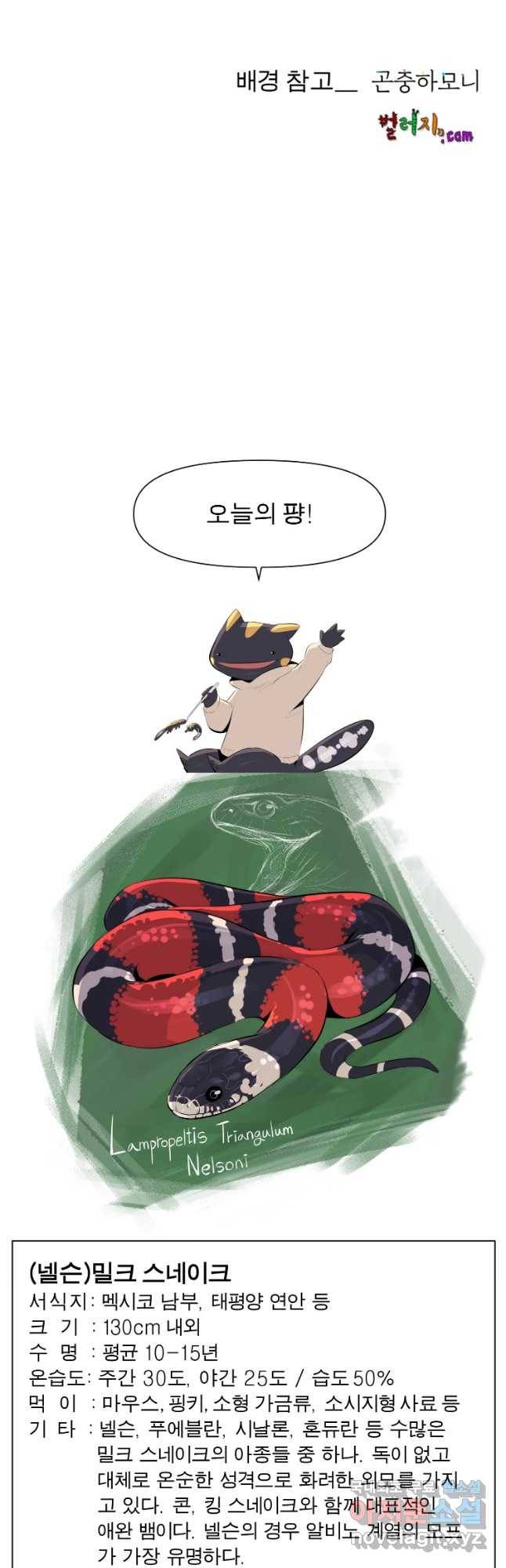 케어시트 31화 수집 38