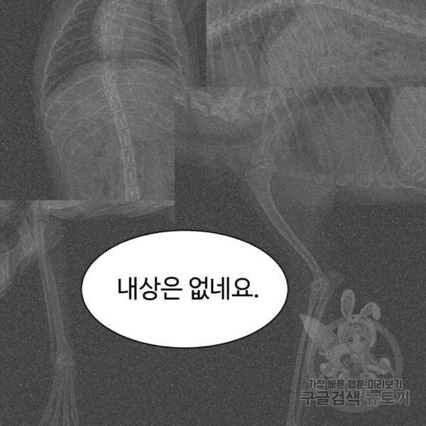 개를 낳았다 시즌2 96화 17