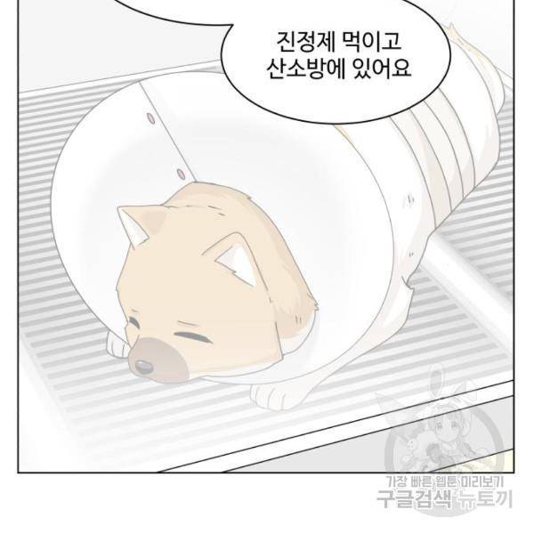 개를 낳았다 시즌2 96화 20