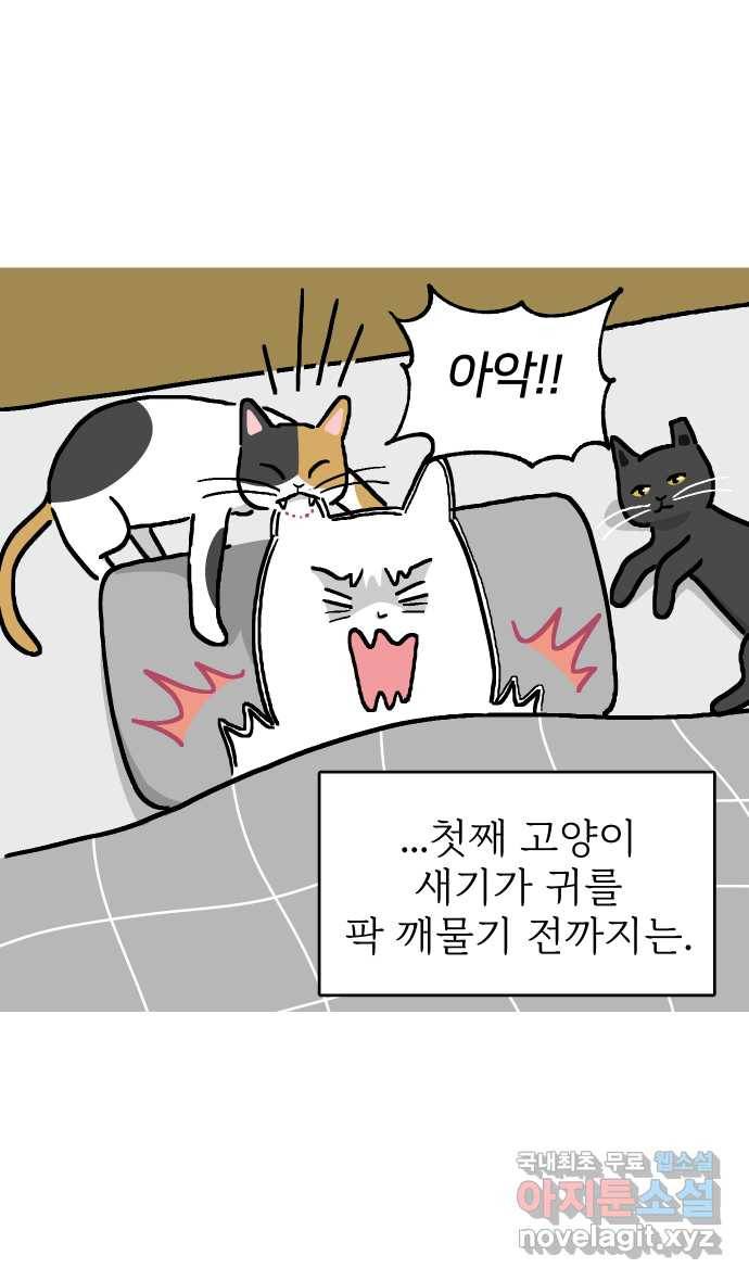 애옹식당 21화 우리 처음 만난 날 2