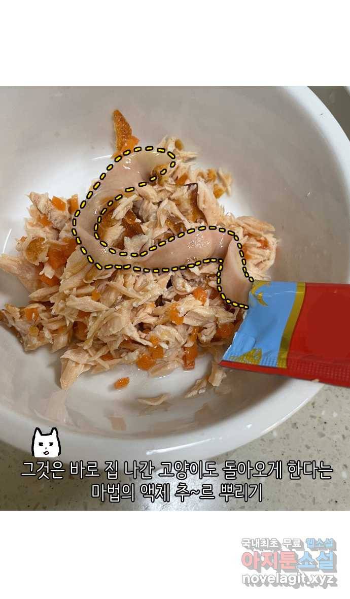 애옹식당 21화 우리 처음 만난 날 32