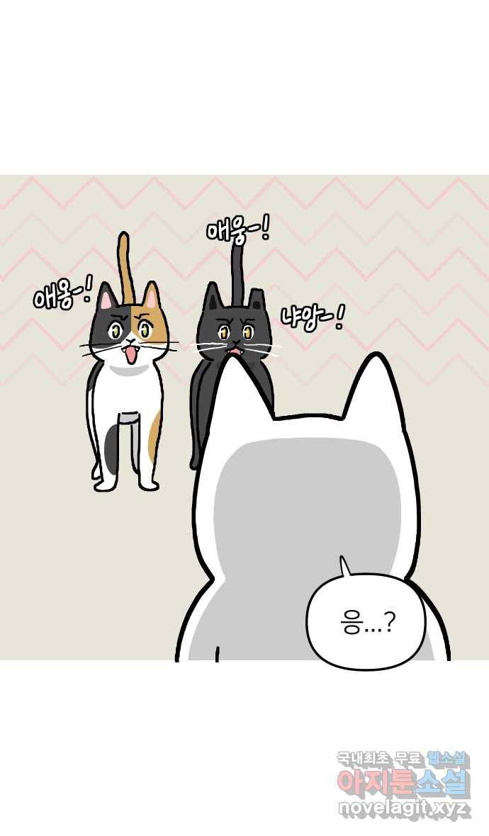 애옹식당 21화 우리 처음 만난 날 39