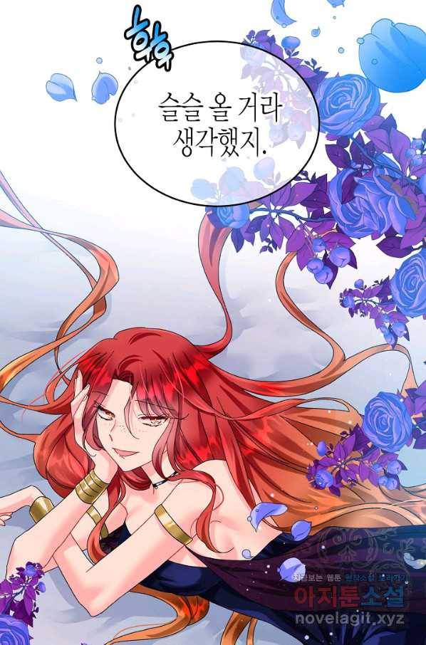 그 아가씨의 집사님 외전 5화 13