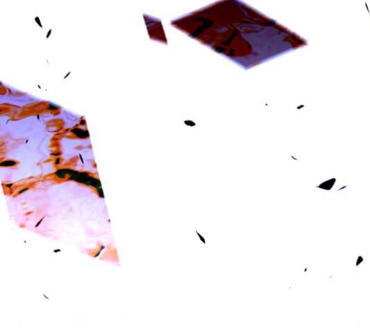 트럼프 트럼프 122화 53