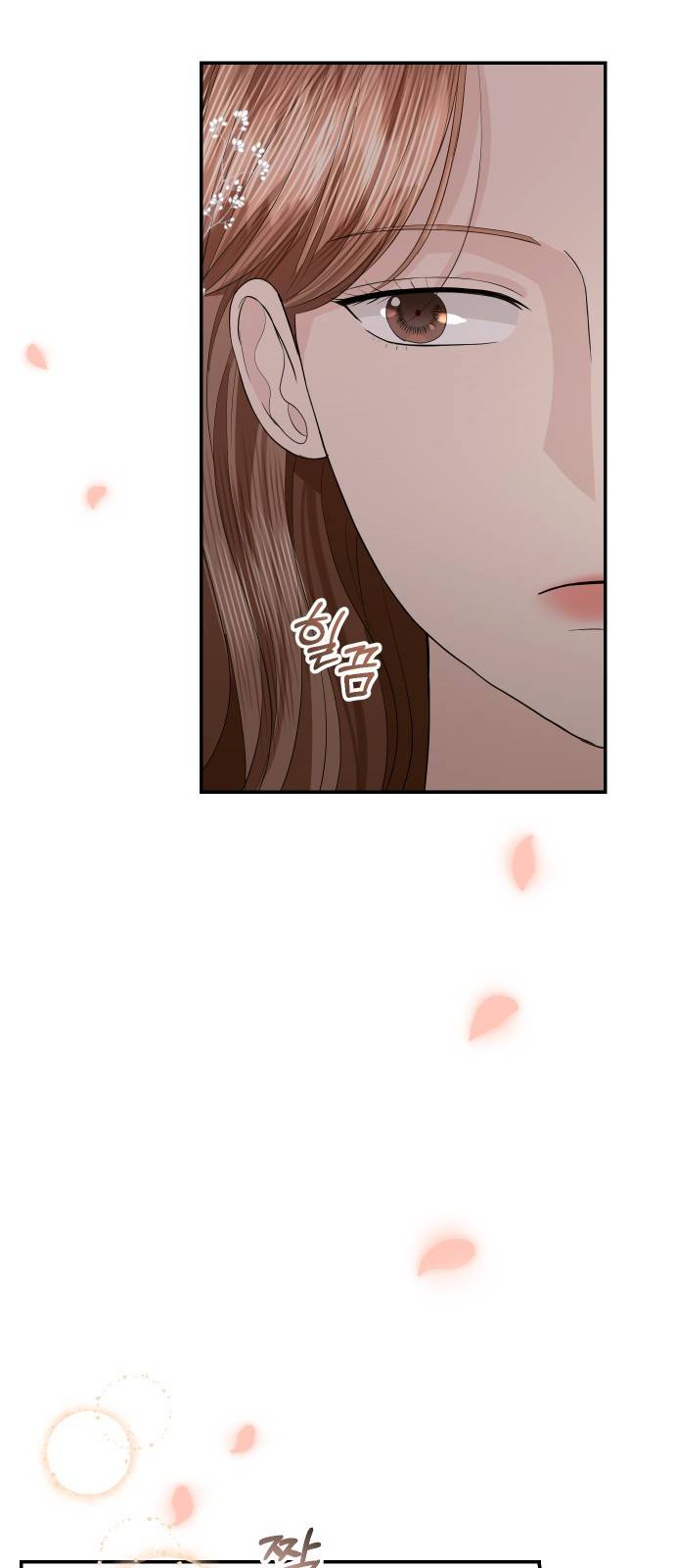 완벽한 결혼의 정석 48화 6