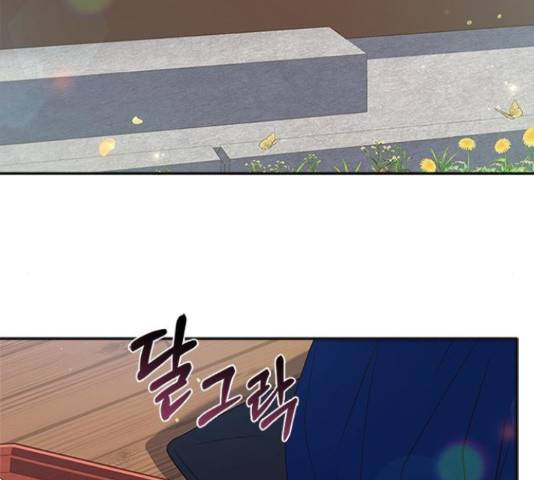 해시의 신루 25화 145