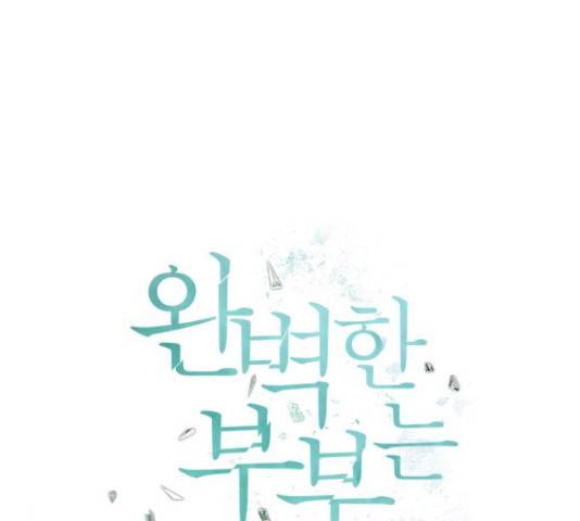 완벽한 부부는 없다 13화 38