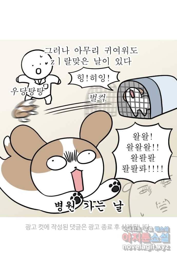 독립일기 시즌2 71화 토끼네 방문 22