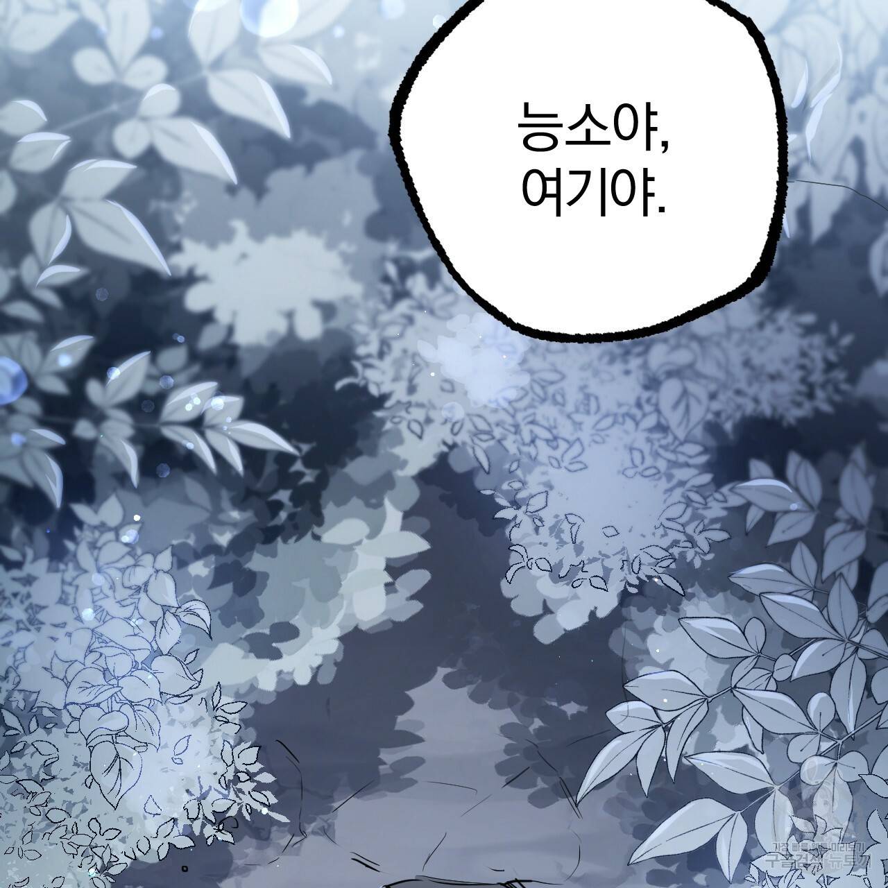 하비비의 토끼들 37화 37