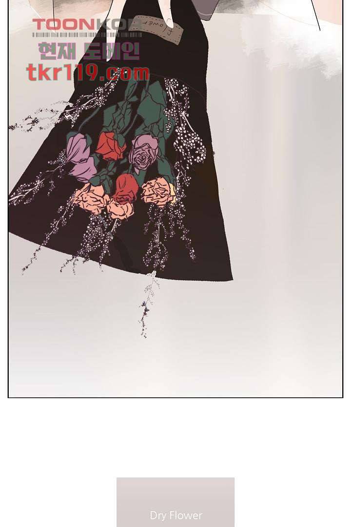 드라이 플라워 (Dry flower) 38화 48