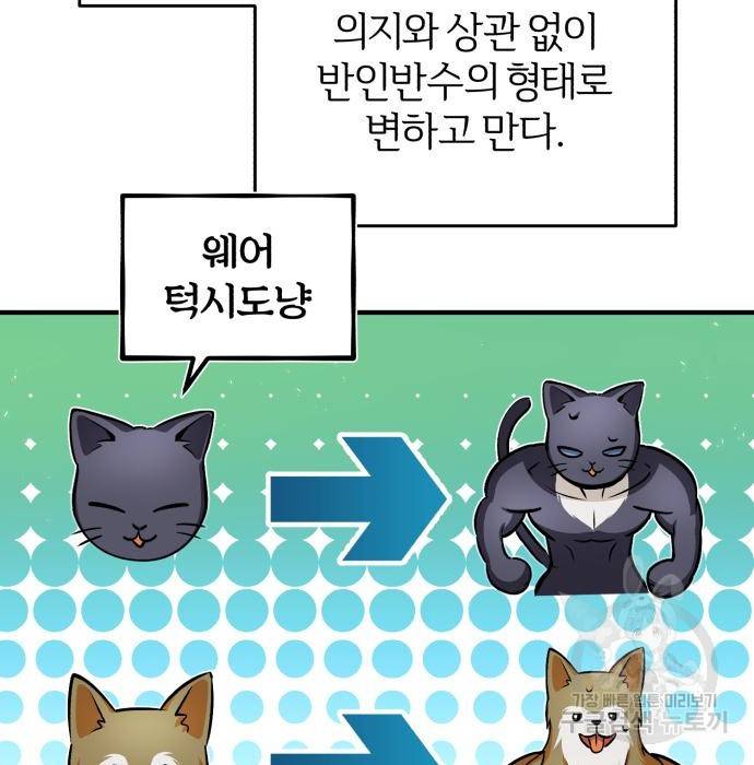 아카데미에 위장취업당했다 11화 12