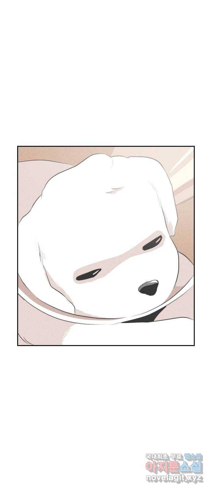 개와 사람의 시간 6화 41