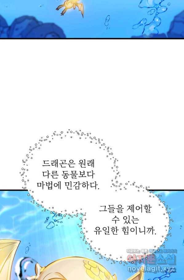베이비 드래곤 58화 14