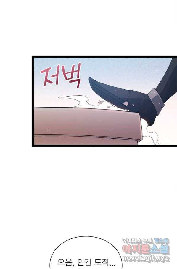 어웨이크닝 회귀 플레이어 71화 58
