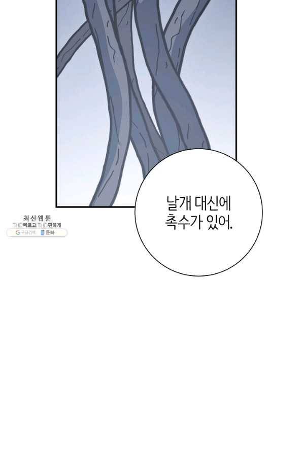 드라코런 153화 26