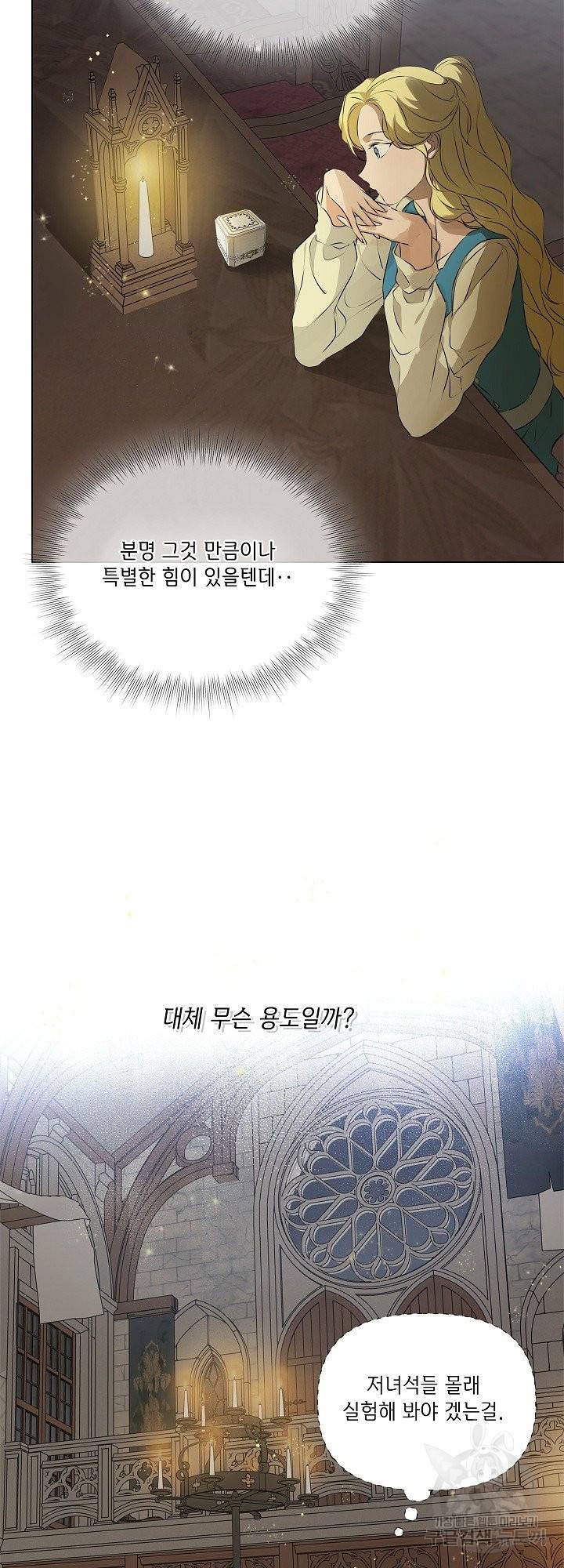 금발의 정령사 99화 42
