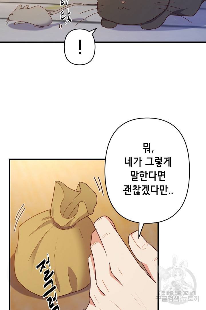 마법사를 위한 동화 39화 43