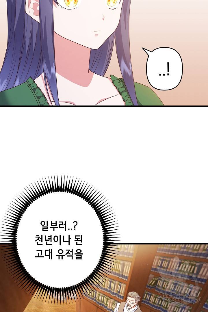 마법사를 위한 동화 39화 52