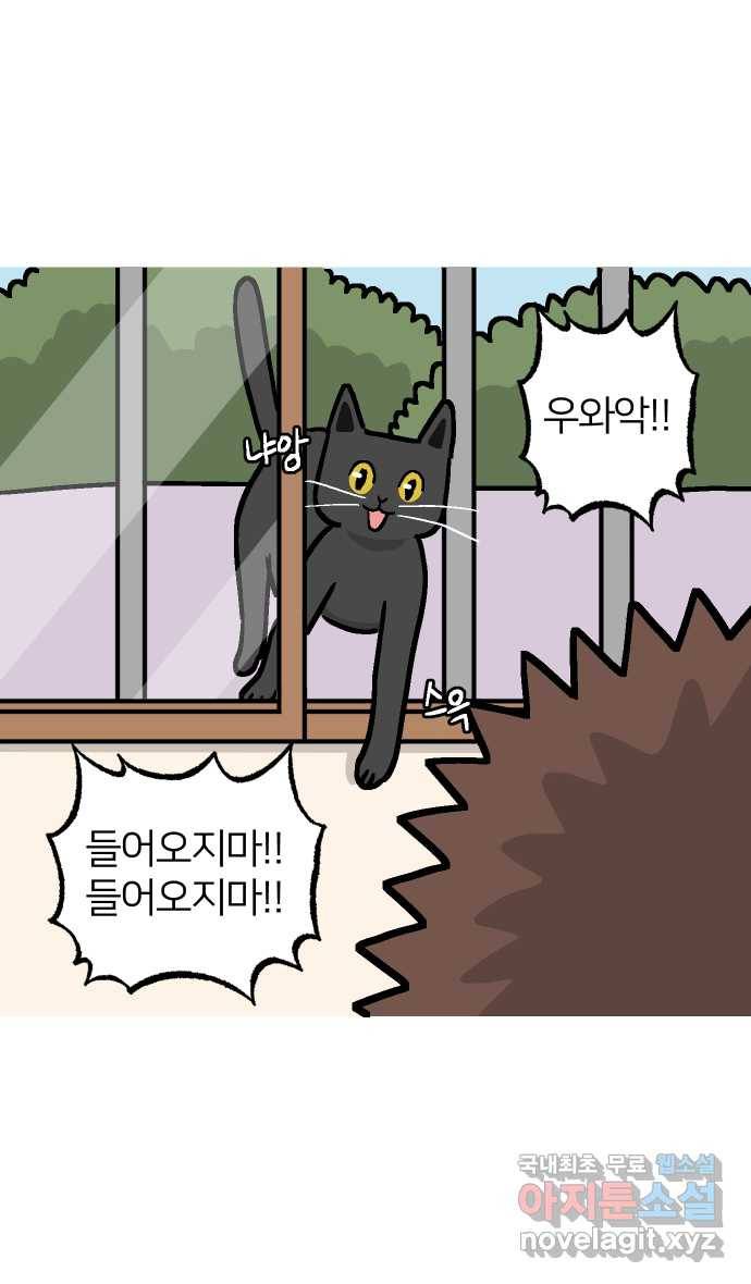애옹식당 33화 검은 고양이와의 인연(1) 29
