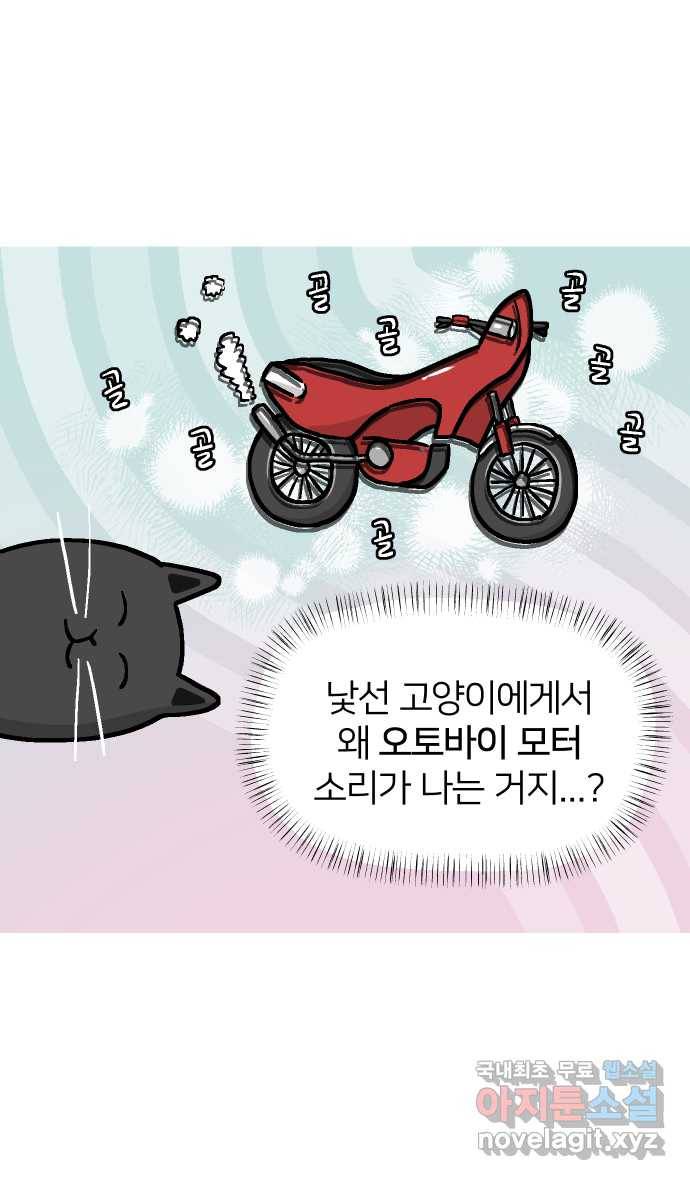 애옹식당 33화 검은 고양이와의 인연(1) 32