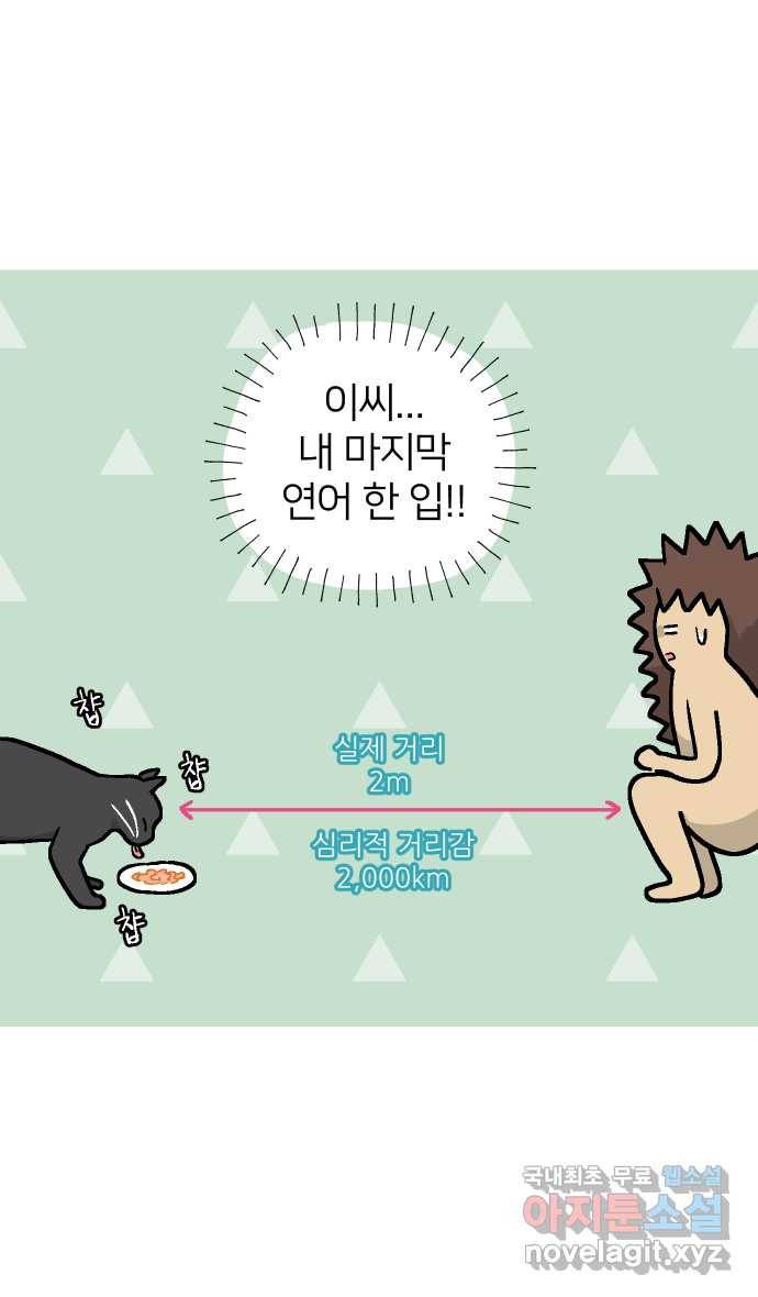 애옹식당 33화 검은 고양이와의 인연(1) 36
