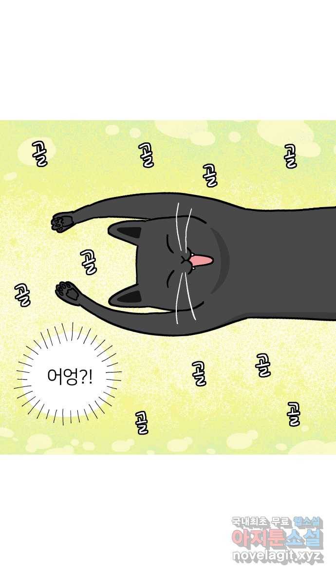 애옹식당 33화 검은 고양이와의 인연(1) 37