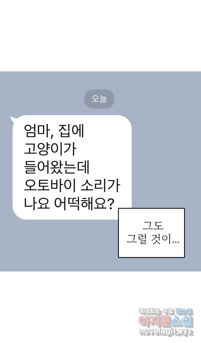 애옹식당 33화 검은 고양이와의 인연(1) 41