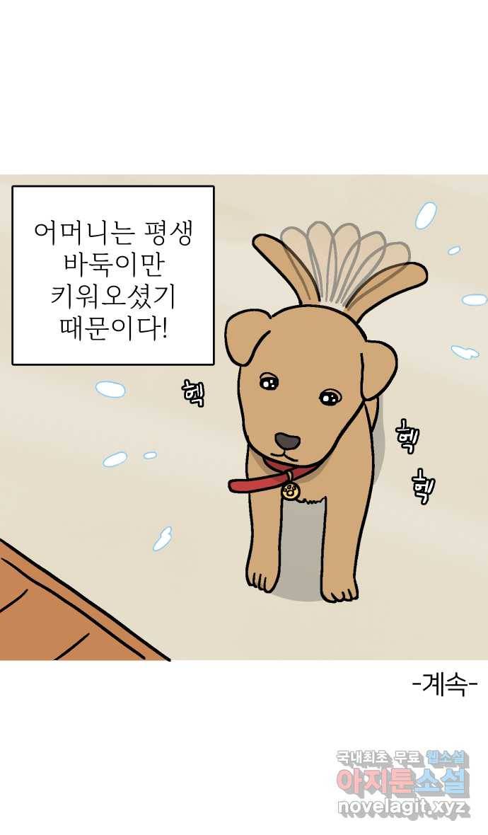 애옹식당 33화 검은 고양이와의 인연(1) 42