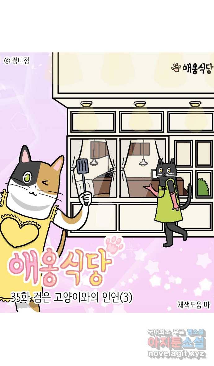 애옹식당 35화 검은 고양이와의 인연(3) 1