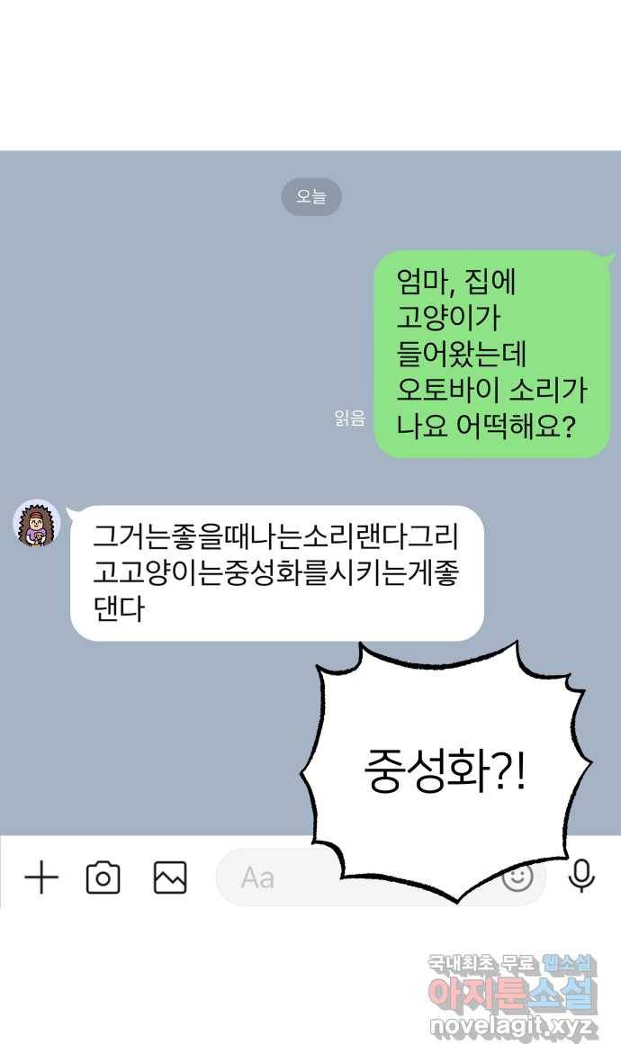 애옹식당 35화 검은 고양이와의 인연(3) 2