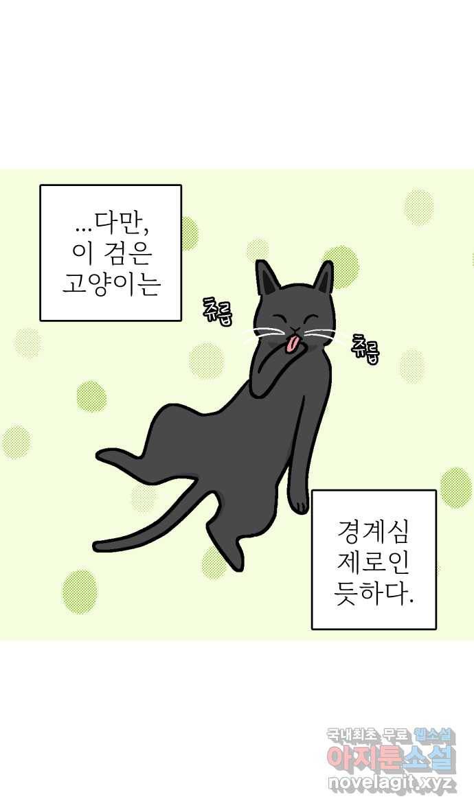 애옹식당 35화 검은 고양이와의 인연(3) 4