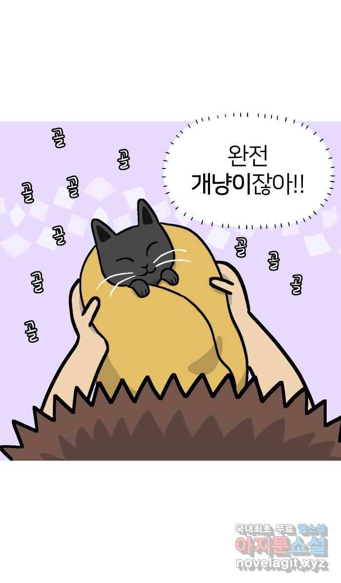 애옹식당 35화 검은 고양이와의 인연(3) 7