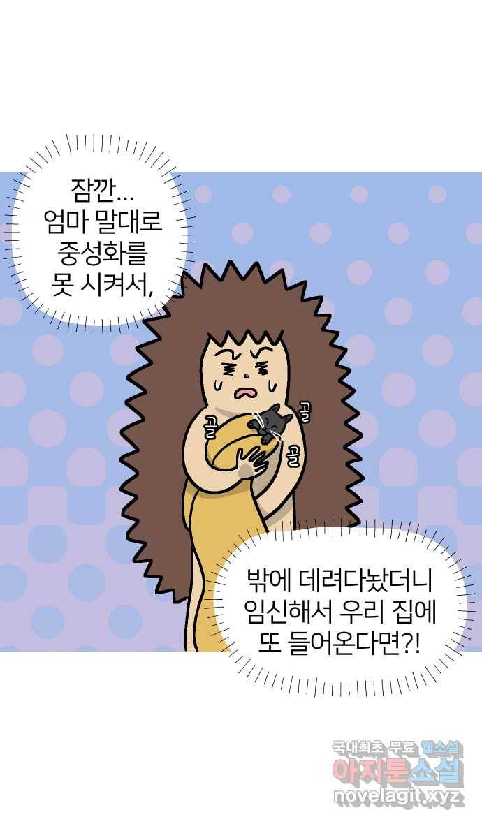 애옹식당 35화 검은 고양이와의 인연(3) 8