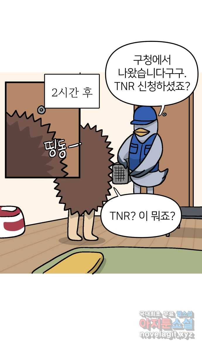 애옹식당 35화 검은 고양이와의 인연(3) 11