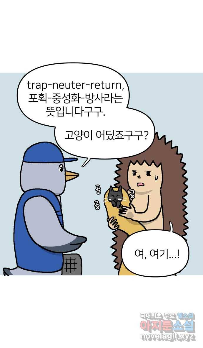애옹식당 35화 검은 고양이와의 인연(3) 12