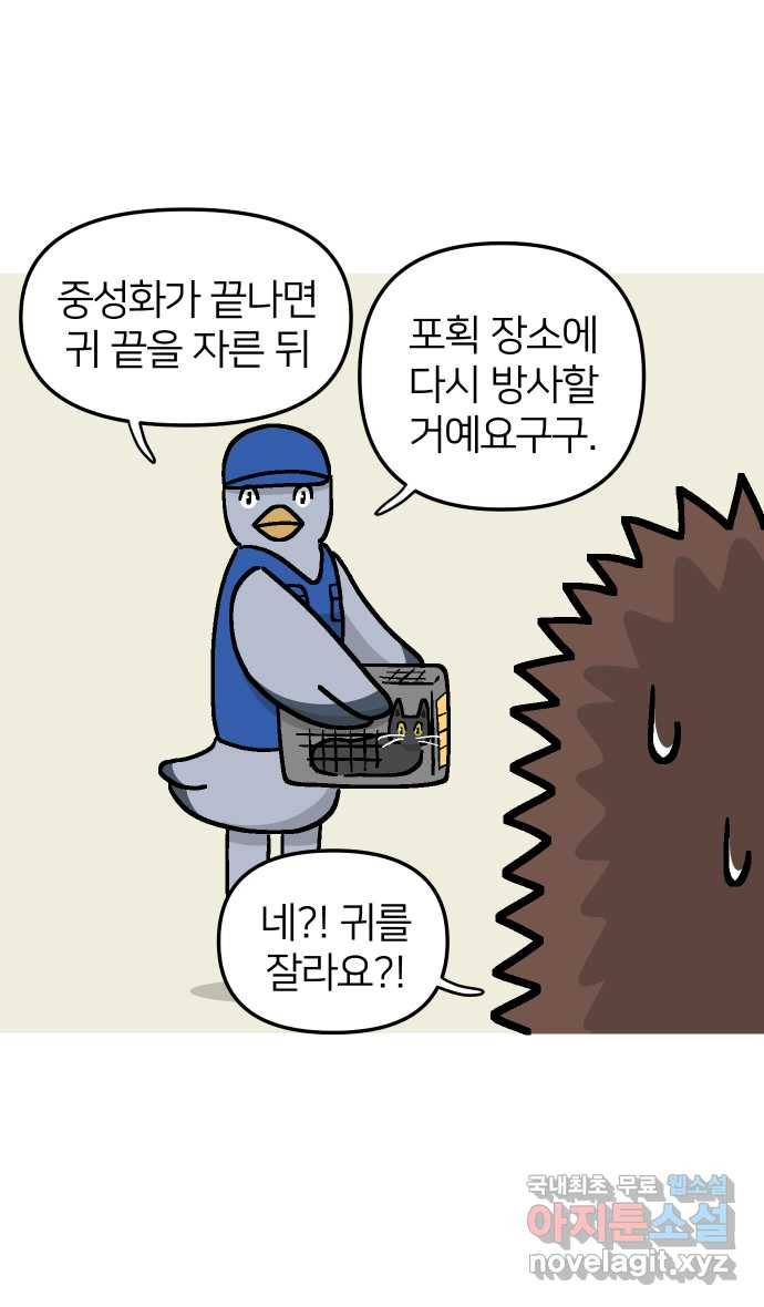 애옹식당 35화 검은 고양이와의 인연(3) 14