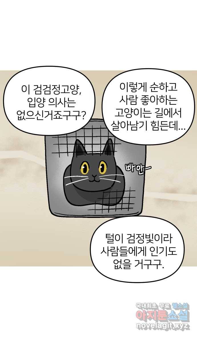 애옹식당 35화 검은 고양이와의 인연(3) 17