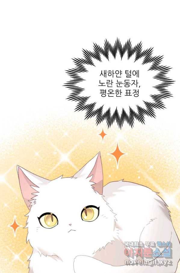 황비님? 황비님! 127화(외전 2화) 48