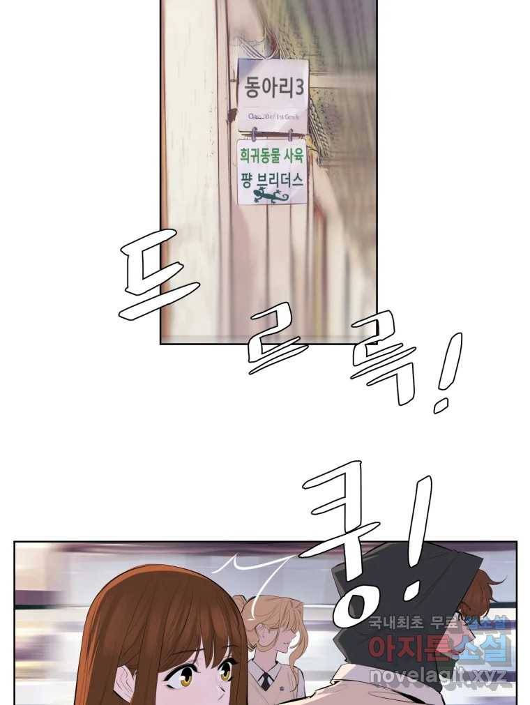 케어시트 46화 궁금해 4